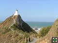thn_The Catlins Coast 016.jpg